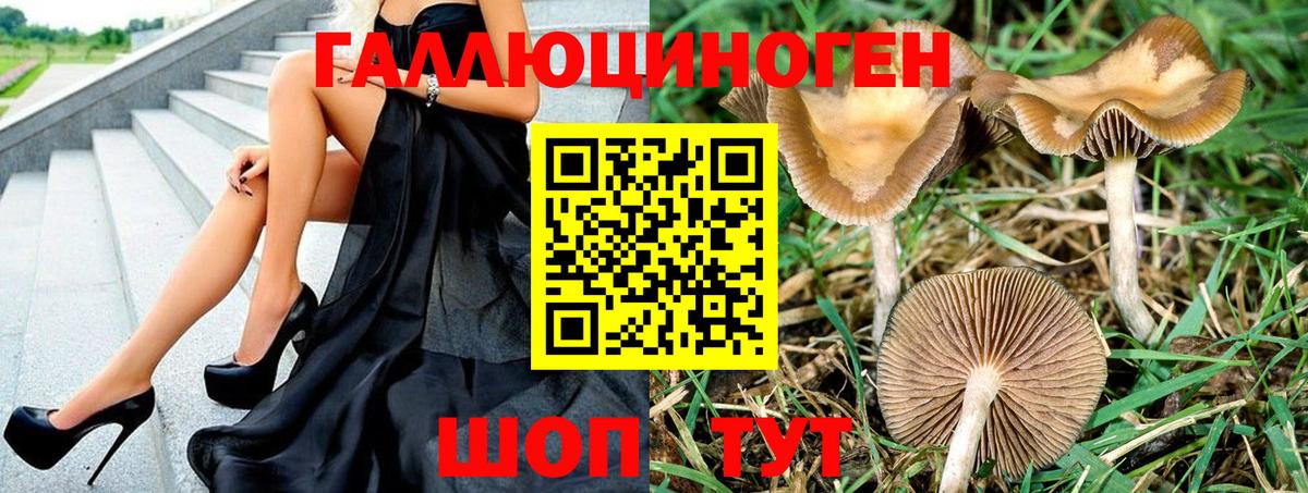 Псилоцибиновые грибы Psilocybine cubensis  где найти наркотики  Осинники  Галлюциногенные грибы ЛСД  Вход с VPN 